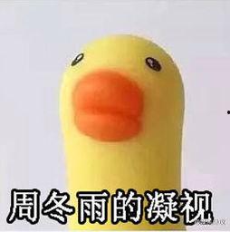 周冬雨凝视鸭子表情包,萌态可掬，网络热议