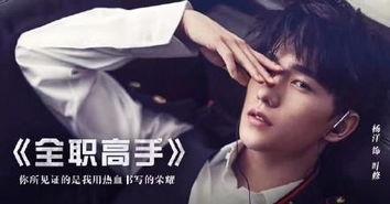 全职高手演员表,众星云集，揭秘演员阵容背后的精彩故事